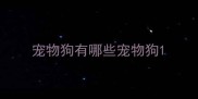 宠物狗有哪些宠物狗