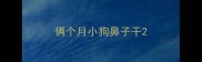 俩个月小狗鼻子干