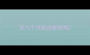买八个月的边牧好吗
