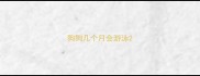狗狗几个月会游泳