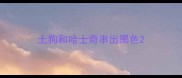 土狗和哈士奇串出黑色