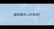 猫咪喜欢人的表现