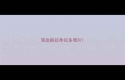 双血统拉布拉多照片