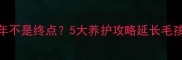 哈士奇犬寿命10年不是终点5大养护攻略延长毛孩子寿命养宠必看