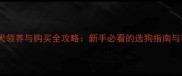 拉布拉多犬领养与购买全攻略新手必看的选狗指南与养护要点