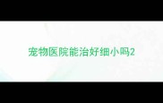 宠物医院能治好细小吗
