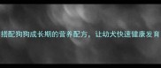 科学喂养指南如何科学搭配狗狗成长期的营养配方让幼犬快速健康发育附120天喂养计划表