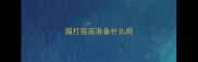 猫打疫苗准备什么用