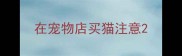 在宠物店买猫注意