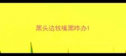 黑头边牧嘴黑咋办