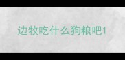 边牧吃什么狗粮吧