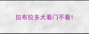 拉布拉多犬看门不看