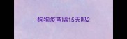 狗狗疫苗隔15天吗