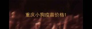 重庆小狗疫苗价格