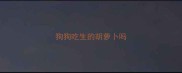 狗狗吃生的胡萝卜吗