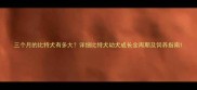三个月的比特犬有多大详细比特犬幼犬成长全周期及饲养指南