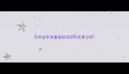 拉布拉多体重超标现状与危害分析