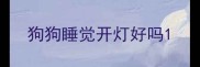 狗狗睡觉开灯好吗
