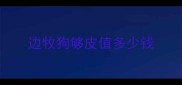 边牧狗够皮值多少钱