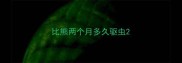 比熊两个月多久驱虫