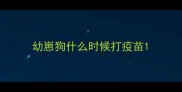 幼崽狗什么时候打疫苗