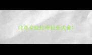 北京专业拉布拉多犬舍