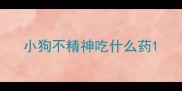 小狗不精神吃什么药