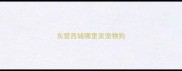 东营西城哪里卖宠物狗