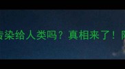 宠物湿疹会传染给人类吗真相来了附专业护理指南