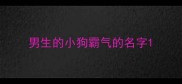 男生的小狗霸气的名字