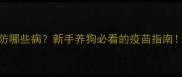 8联犬疫苗能防哪些病新手养狗必看的疫苗指南附接种全流程