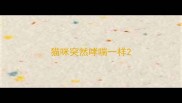 猫咪突然哮喘一样