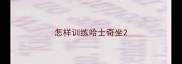 怎样训练哈士奇坐