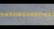 张家界到哪里给狗狗打疫苗