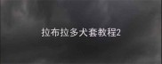 拉布拉多犬套教程