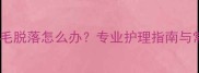 哈士奇嘴边毛脱落怎么办专业护理指南与常见原因全