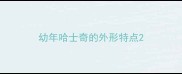 幼年哈士奇的外形特点