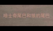 哈士奇尾巴和狼的尾巴