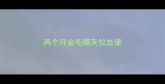 两个月金毛隔天拉血便