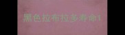 黑色拉布拉多寿命