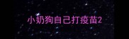 小奶狗自己打疫苗