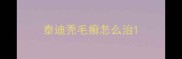 泰迪秃毛癣怎么治