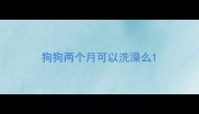 狗狗两个月可以洗澡么