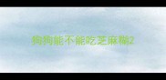 狗狗能不能吃芝麻糊