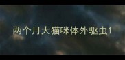 两个月大猫咪体外驱虫