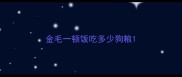 金毛一顿饭吃多少狗粮