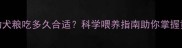 边牧幼犬粮吃多久合适科学喂养指南助你掌握黄金期