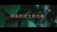 刚家的哈士奇拉稀