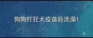 狗狗打狂犬疫苗后洗澡
