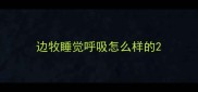 边牧睡觉呼吸怎么样的